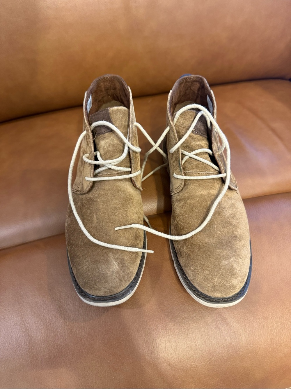 Toms Men's Suede Chukka Boots in Tan with Cream Laces